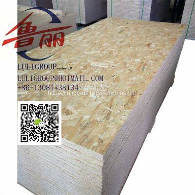 Luligroup Osb5 photo-2