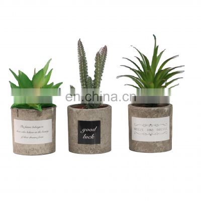 Home And Garden 2021 Guangdong Potted Plants Mini 3 Pack Faux Succulent Plants Potted House Table Decor