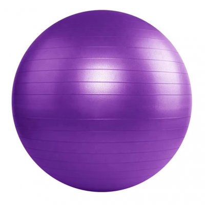 Eco-friendly PVC Anti Burst Heavy Duty Stability Fitness Exercise Yoga Gym Ball With Pump photo-2
