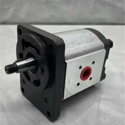 Hydraulic Pump PLP20.14-LOC-S7DFS-L-T AV -PV PLP20.25D0-82E2-LEB/EA-N-EL for Excavator PLP20-25 PLP20-27.8 photo-4