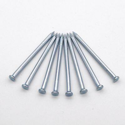 Fluted Shank Concrete Steel Nails With Technical Support for Professional Builders photo-4