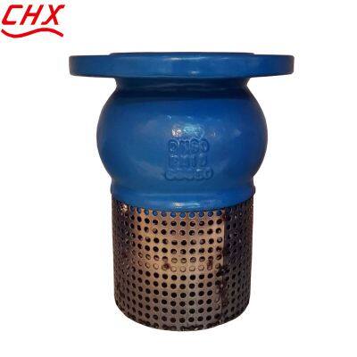 JIS/ANSI/DIN Foot Valve Cast Iron GGG50 Ductile Iron Flange Stainless Steel Filter Strainer Water Pump photo-3