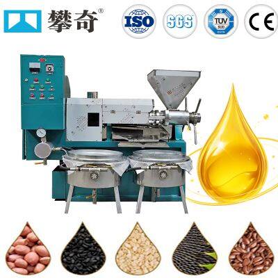 Hot and Cold Oil Pressing Peanut Sunflower Coconut Soybean Oil Press Machine Peanut Oil Production Line Groundnut Oil Extraction