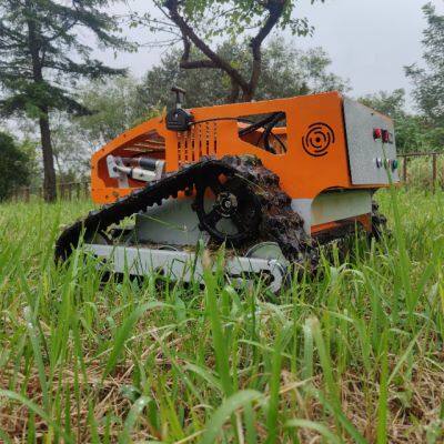 Benzinmotor, Einzylinder, Schneidbreite 550 mm, Fernsteuerung über 200 Meter, Roboter-Fernsteuerungsrasenmäher