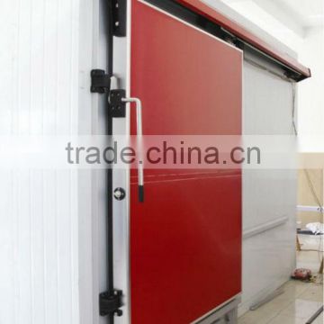 Sliding and hinged cooling room door