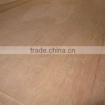 0.3mm Gurjan Veneer for India Market photo-4