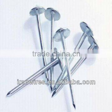 Electrical galvanzied roofing nails(seller)