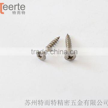 China Cheap Pan Head Phillips Self Tapping Stainless Steel Screw photo-2