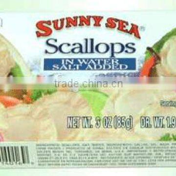 High Quality Canned Boiled Scallops in Salt Water photo-4