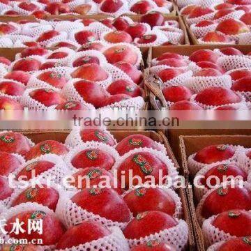 china red apple