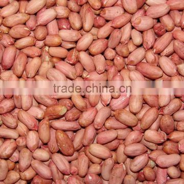 peanut kernels 28/32 chinese peanuts