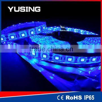 CE TUV 2 Years Warranty 60LEDs/Meter 5050 SMD IP68 LED Strip light 12V