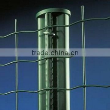 China Anping Factory New PVC Coated Holland Wire Mesh For Garden Protection