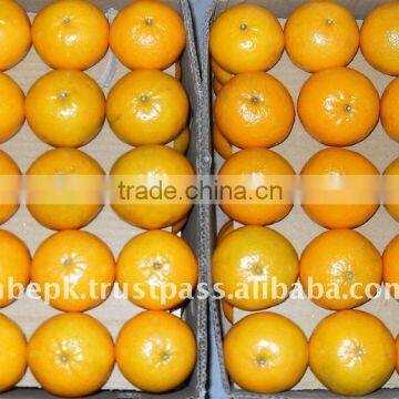 Mandarin, Citrus fruit from Pakistan