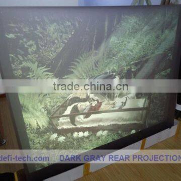 Supply outdoor rear projection screen from $35