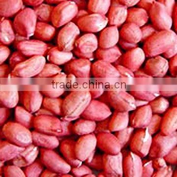 RED SKIN GROUNDNUT KERNELS