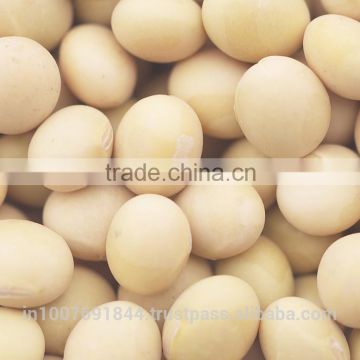 Organic Soybean