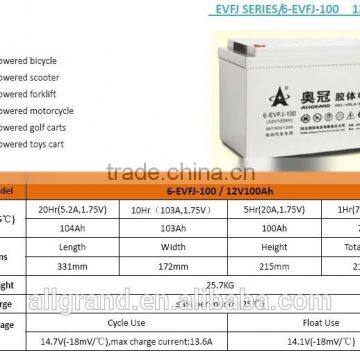 6-EVFJ-100 Escooter Battery- 12V100Ah Rechargeable Sealed Lead Acid Battery for E-car/motorcycle photo-2
