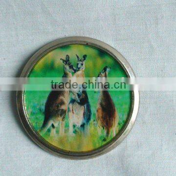 Animal Wolrd Metal Fridge Magnet photo-1