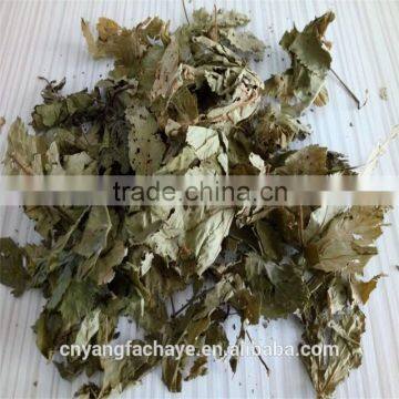 Health Tea Sweet Tea Extract Rubusoside Sweet Tea Leaf photo-3