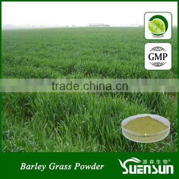 Low price with manufacturer supply barley grass powder