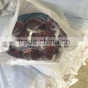 16 Eyes Woven Nylon Net(Best Price With High Quality,short Delivery Time and Good Aftersales Service) photo-5