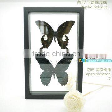 FOUSEN(043) Nature& Art Natural Species Hotel Front Door Decoration