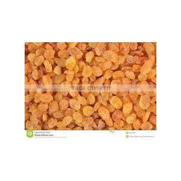 Yellow Raisins