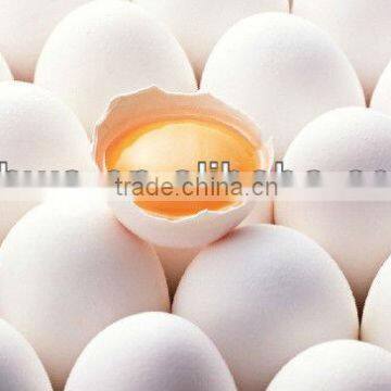 egg albumen powder