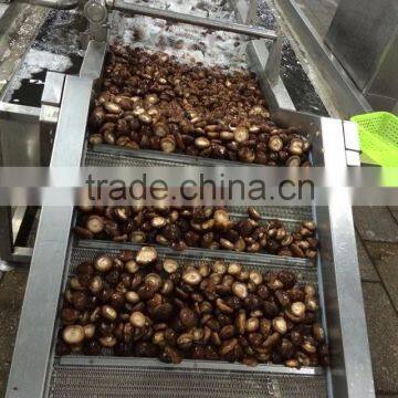 Price for Frozen Shiitake Mushroom Whole photo-4