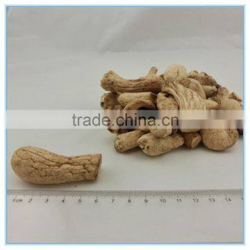 Buy bulk dried and fresh import cogumelo shiitake mushroom stipe particle