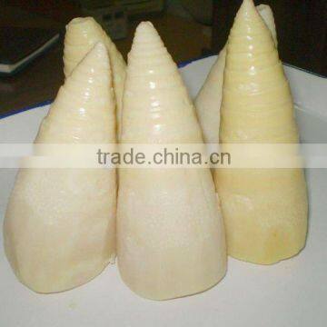 Whole Canned Bamboo Shoot