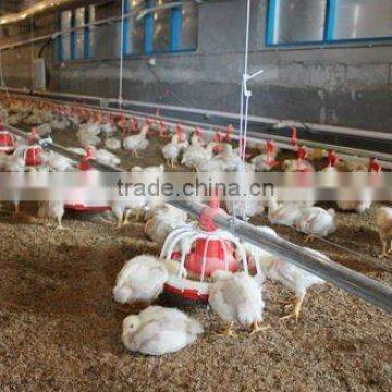 poultry pan feeder for broiler and chicken