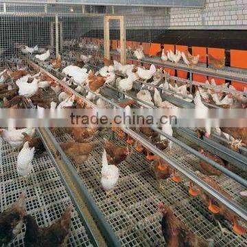 Factory Price Poultry plastic board