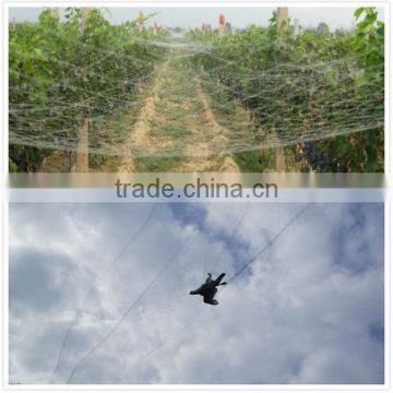 netting to catch bird nylon bat nets,agricultural bird netting,filet de capture