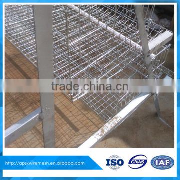 ladder type chicken cages