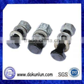 Customized Black Screw With Nut In China photo-3