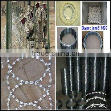 exported various of galvanzied razor wire with high quality and good price in China