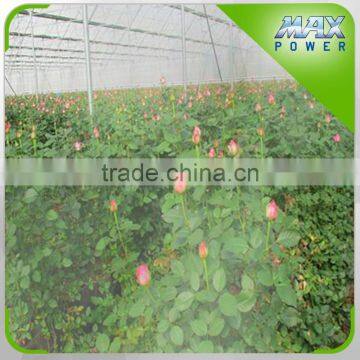 Flower Garden Greenhouse Irrigation Series photo-3
