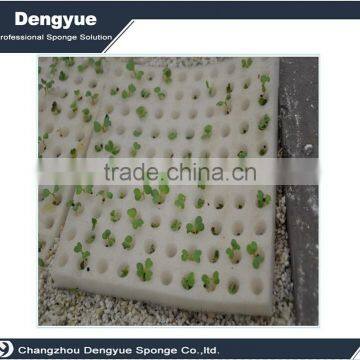 Agricultural aquaponics vegetables seedling planting sponge