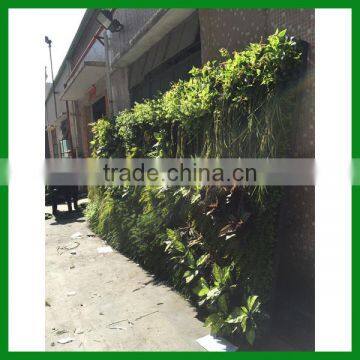 FO-GW018 Outdoor Green Plant Wall for Decor photo-3