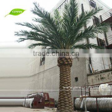 GNW APM015 Artificial Palm Plants Park Landscaping Decoration Palm Trees