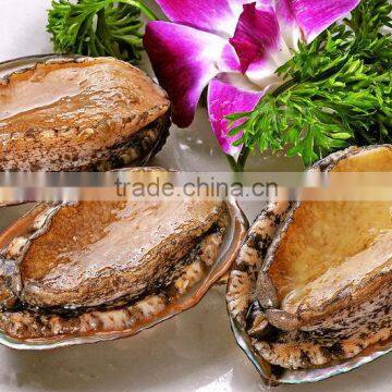 Frozen Cooked Abalone with shell