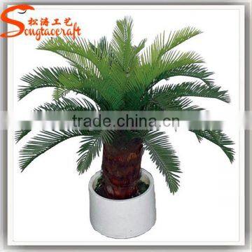 Indoor Evergreen Ornamental Plants Cycas Revoluta Artificial Fake Plastic Evergreen Trees for Home Decor photo-5