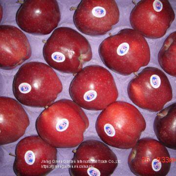Chinese HuaNiu Apple photo-3