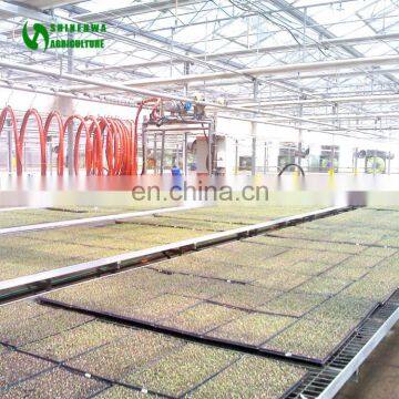 2017 Factory Agriculture Seedbed Greenhouse Used For Sale photo-6