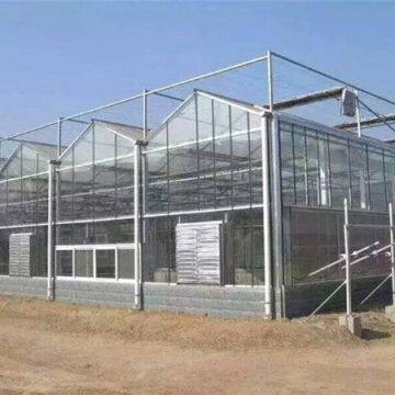 Glass Greenhouse 9.6m/10.8m Multispan Glass Greenhouse