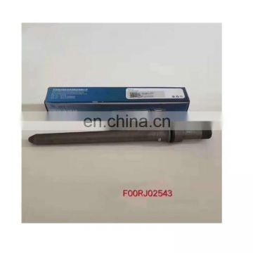 High quality new injector conduit F00RJ02543