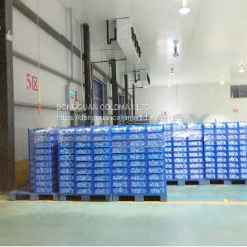 Cold Room for Fruit and Vegetables photo-4