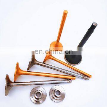 ATV Parts Intake Exhaust Engine Valve for TGB Target 550 EFI IRS Asiawing LD450 450cc Dinli 700 Centhor Keeway TX 50 125 150 200 photo-4